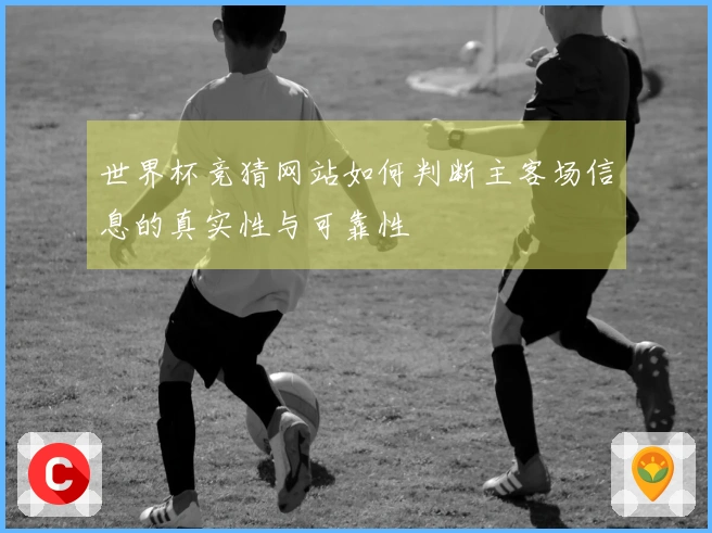 世界杯竞猜网站如何判断主客场信息的真实性与可靠性