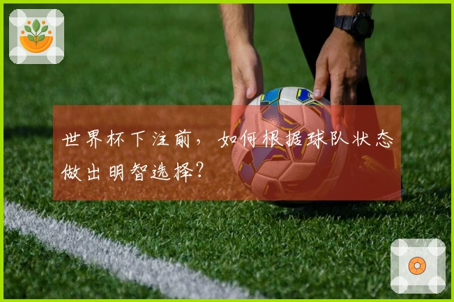 世界杯下注前,如何根据球队状态做出明智选择?