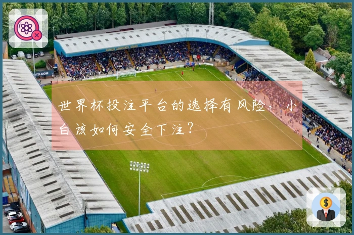 世界杯投注平台的选择有风险，小白该如何安全下注？